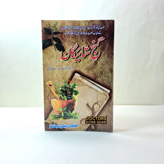 گنج شائیگان