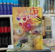 Chinese Medicine – چینی طب (Urdu Medical Book on Traditional Chinese Healing) Asan Mart
